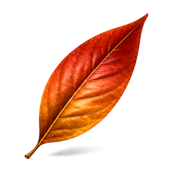 ReviteLife cinnamon leaf mark